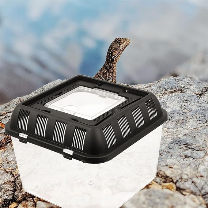Transparent Reptile Breeding Box with Ventilation Climbing Pet Storage Container for Turtles and Other Reptiles Feeding Case for Pet Display