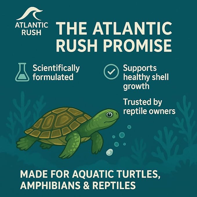 Shellstrong Premium Calcium Block for Aquatic Turtle - Slow Release Water Conditioner - Turtle Calcium Cuttlebone - Turtle Tank Accessories - 20 Gallon Aquatic Reptile Tank Treatment