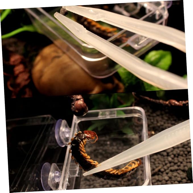 FOMIYES 1pc Luminous Feeding Tweezers for Reptiles Amphibians and Insects Easy to Use for Safe Feeding of Lizards Frogs