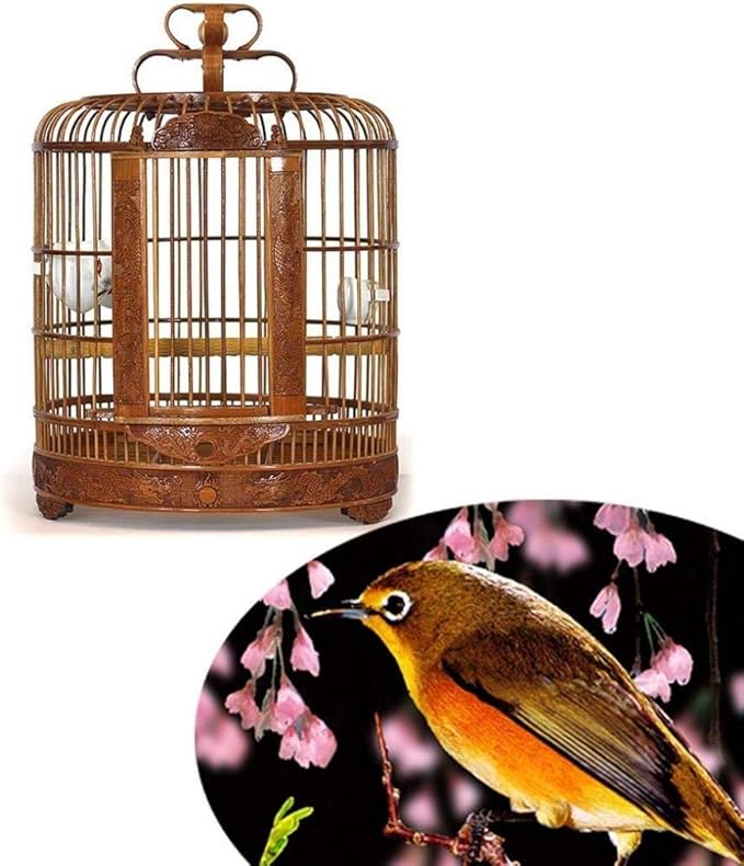 Traditional Chinese Style Bamboo Bird Cage Classic Round Carving Bird Carrier Garden Decor