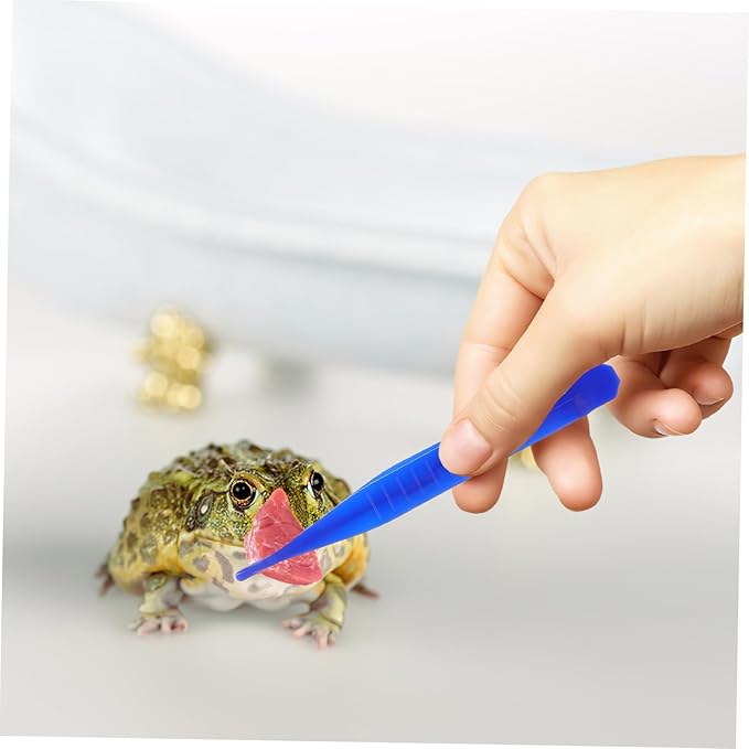 ORFOFE 6pcs Reptiles Feeding Tweezer Set Plastic Feeding Clamp for Lizards and Frogs Curved and Straight Design for Easy Handling of Reptile Food