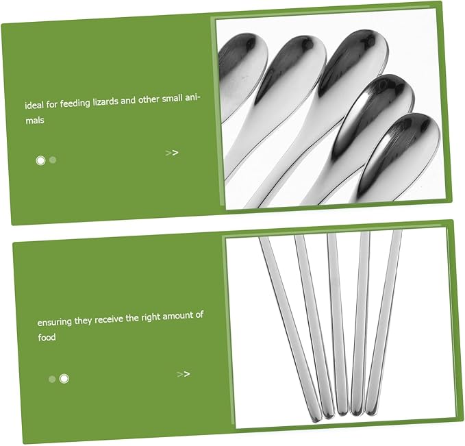 COLLBATH 5pcs Lightweight Reptile Food Scoops for Lizard Feeding Ergonomic Design for Precise Nutrition Durable Small Animal Feeding Spoons for Home Use