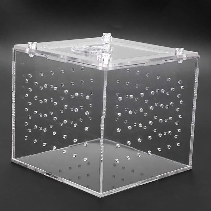 Reptile Breeding Tools, Reptile Hatching Supplies, Lizard Breeding Acrylic Box Case Insects House 1Pc Reptile Terrarium Feeder Snakes Spider