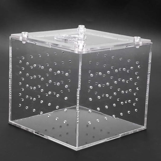 Reptile Breeding Tools, Reptile Hatching Supplies, Lizard Breeding Acrylic Box Case Insects House 1Pc Reptile Terrarium Feeder Snakes Spider