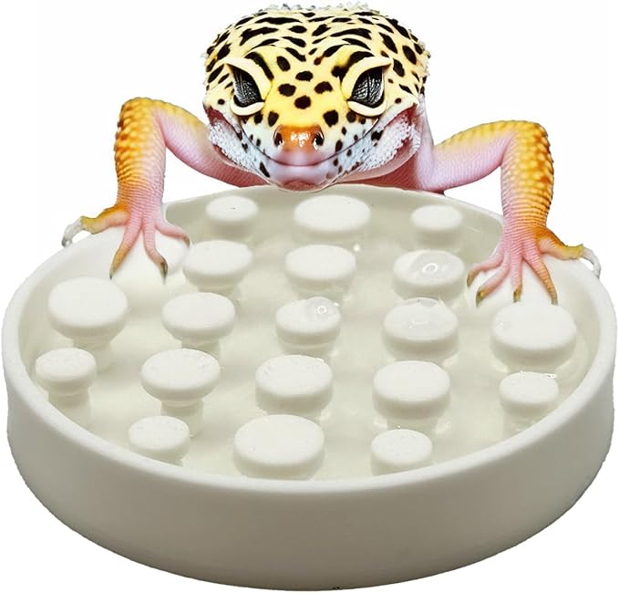 Leopard Gecko Water Bowl - Walkable Water Bowl - Tarantula Water Bowl (Pure White)