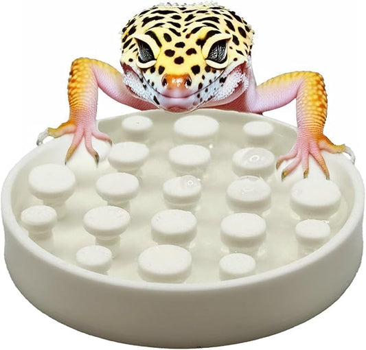 Leopard Gecko Water Bowl - Walkable Water Bowl - Tarantula Water Bowl (Pure White)