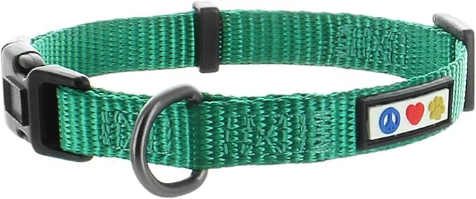 Pawtitas Value Bundle Set | Medium Step in Dog Harness + Medium Dog Collar + Medium/Large 6ft Dog Leash - Lush Green Set