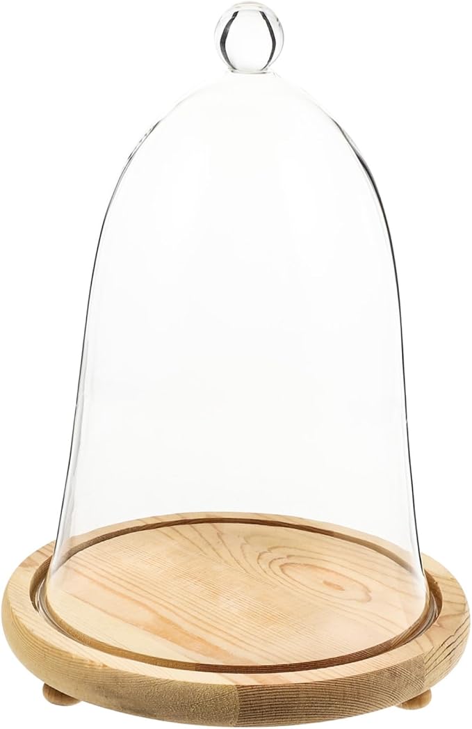 Garneck 1set Elegant Preserved Flower Glass Dome Base Creative Landscape Display for Home and Car Interior for