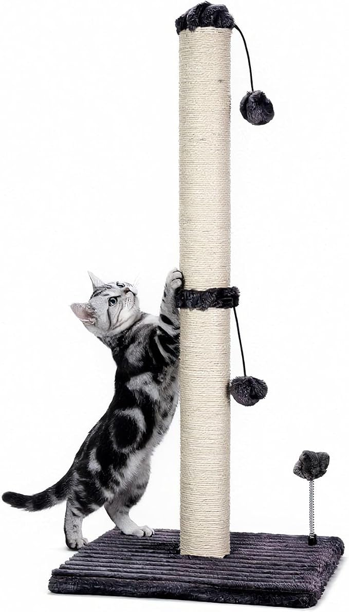 MECOOL 34“ Tall Cat Scratching Post Premium Basics Kitten Scratcher Sisal Scratch Posts Trees with Hanging Ball for Indoor Cats (34 inches for Adult Cats, Charcoal Gray) by MECOOL