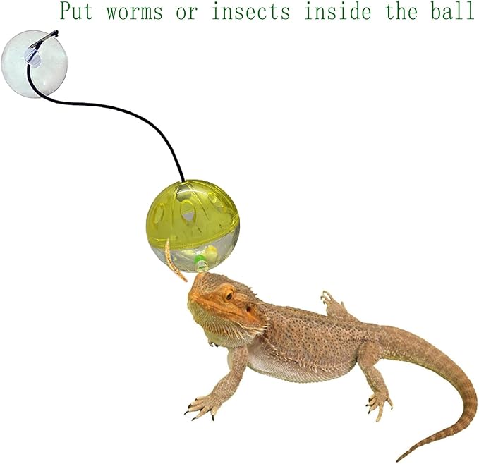 6 Pack Bearded Dragon Toys Balls Bell,Bearded Dragon Accessories,Fit for Lizard Small Reptile Habitat Terrarium Tank