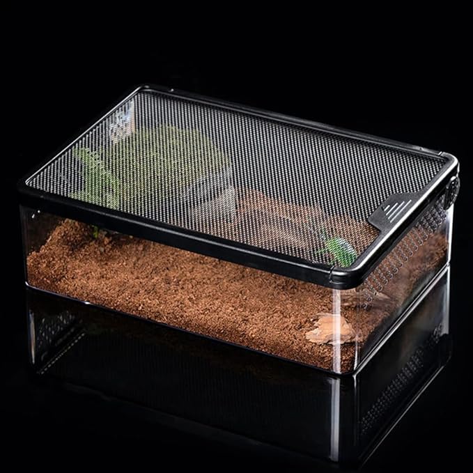 AWXZOM Reptile Feeding Box Clear Terrarium for Geckos, Frog, Lizards, Chameleons, Serpents, Scorpion, Snail, Insect, Hermit Crab, Isopods - 12.6x8.6x3.9inch