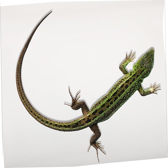 Toyvian Reptile Terrarium Carpet Bearded Dragon Substrate Lizard Tank Mat Eva Soft Bedding Portable for Outdoor
