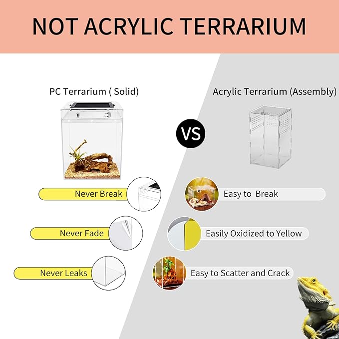 Reptileg Growth Reptile PC Terrarium, 8''x 8''x 11'' with Top Sliding Door Screen Ventilation Tarantula Enclosure for Snake, Frog,Insect,Tarantula,Hermit Crab，Spider,Iguana,Tortoise,Bearded Dragon