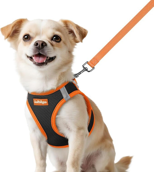 rabbitgoo Dog Harness Small Sized and Leash Set, Step-in Breathable Pet Harness, Soft Walking Reflective Puppy Vest for Small Dogs, Black & Orange, XXS