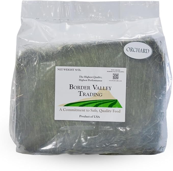 Border Valley Orchard Grass Hay Bale in Bag, 40 lb - Soft High Fiber Hay for Rabbits, Guinea Pigs, Chinchillas, Tortoises, Horses and Livestock - Leafy Grass Hay, Farm-to-Home Freshness
