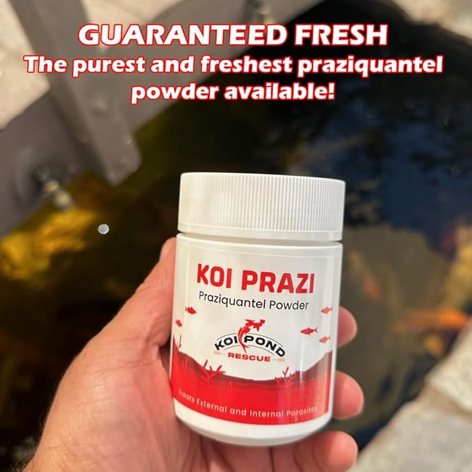 Generic KOI PRAZI (100 Grams) Praziquantel Powder for Pond & Aquarium, Effective Fish Treatment for Flukes & Bacterial Infections in Koi and Ornamental Fish, White