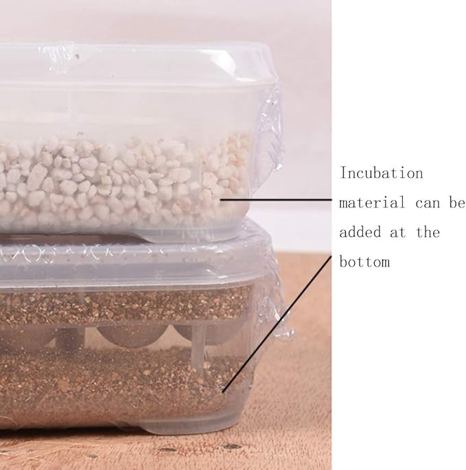 OMEM Reptile Breeding Box, Reptile Egg Incubators, Hatchery Box, for Hatching Gecko, Lizards, Lions Mane, Reptiles (Thermometer, Transparent Box)