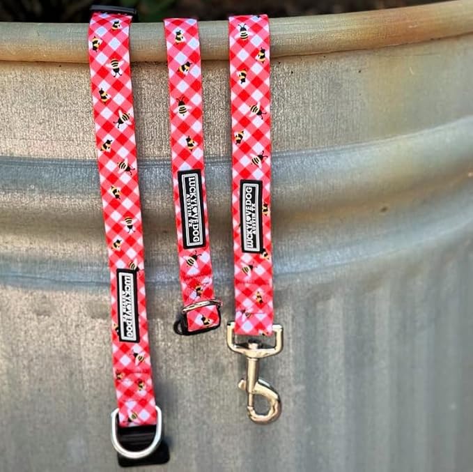 Lucky Love Dog - Easy Click Buckle Dog Collar with Leash Set Combo, Durable & Comfortable for Male & Female Dogs, Pet Collar for Small Dogs, Secure Fit - Bailey Combo, XS