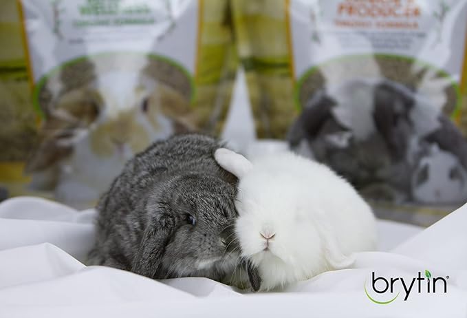 Rabbit 18 - Junior & Producer Timothy Formula - Complete Feed for Bunny Rabbits