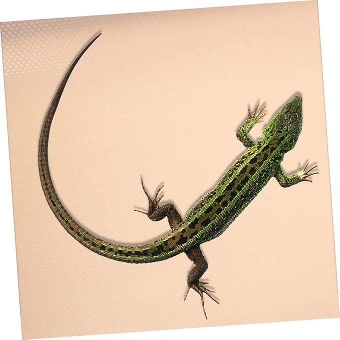 Reptile Carpet for Terrarium Eva Substrate Liner Bedding for Snakes Lizards Tortoises and Geckos Easy to Smooth Surface for Pet Enclosures