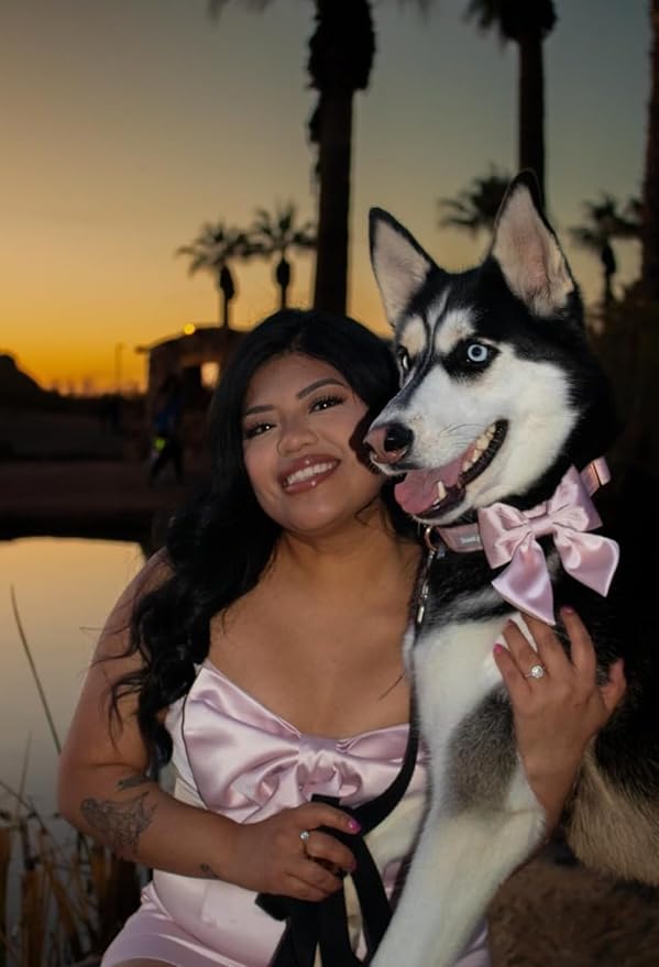Lionet Paws Bowtie Dog Collar - Comfortable Silk Dog Collar with Detachable Bow Tie for Puppy and Cat, Neck 8-12 Inches