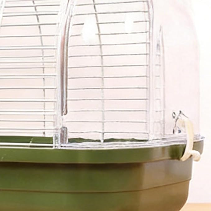 Bird Travel Carrier Box – Standing Perch Transparent Window, Sleek, Cage Parakeet Canary Cockatiel, Conure Bearded Dragon | Parakeet Canary Cockatiel Conure Bearded Dragon Sturdy Ergonomic