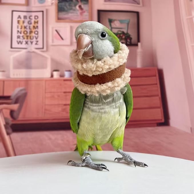 Pet Parrot Anti-Bite Elizabethan Collar, Neck Shield Anti-Grab Feather Plucking Wound Healing Safety Recovery Collar Cones for Budgerigar Lovebird Random Color (XL)