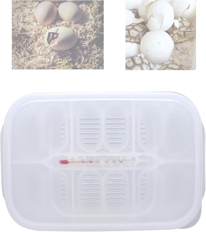 Reptile Breeding Box,16.5x11x5.2cm Reptile Hatchery Box Reptile Incubation Box with Transparent Cover and Temperature Measuring for Hatching Reptiles Lizards, Snakes