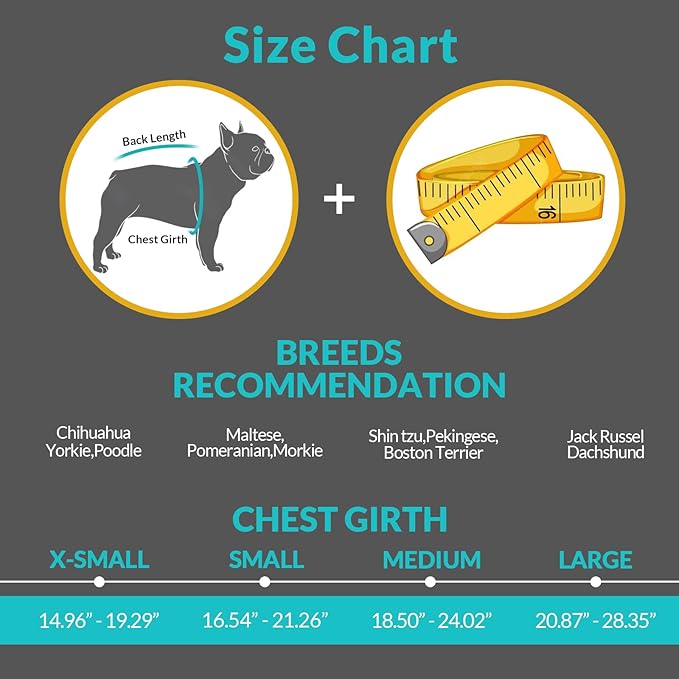 Queenmore Cat Life Vest, Extra Small Dog Shark Life Jacket, XXS Tiny Dog Vest for Swimming and Boating, Lightweight Puppy Swimming Vests for Small Dogs and Cats with Rescue Handle/Leash Hook
