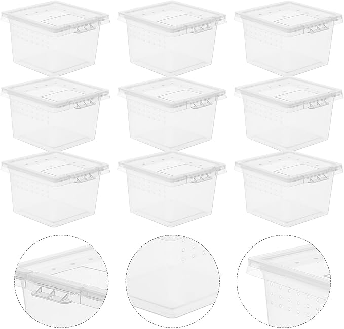 balacoo 20pcs Box Terrariumstransparent Transparent Lizard House Home Snake Hatching Plastic Keeper Tank Case Clear Portable Spider Jumping Bearded Container for Turtles -