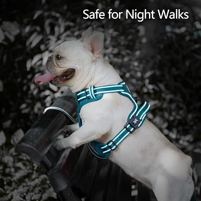 PoyPet No Pull Dog Harness, No Choke Reflective Dog Vest, Adjustable Pet Harnesses with Easy Control Padded Handle for Small Medium Large Dogs(Tumalo Teal,M)