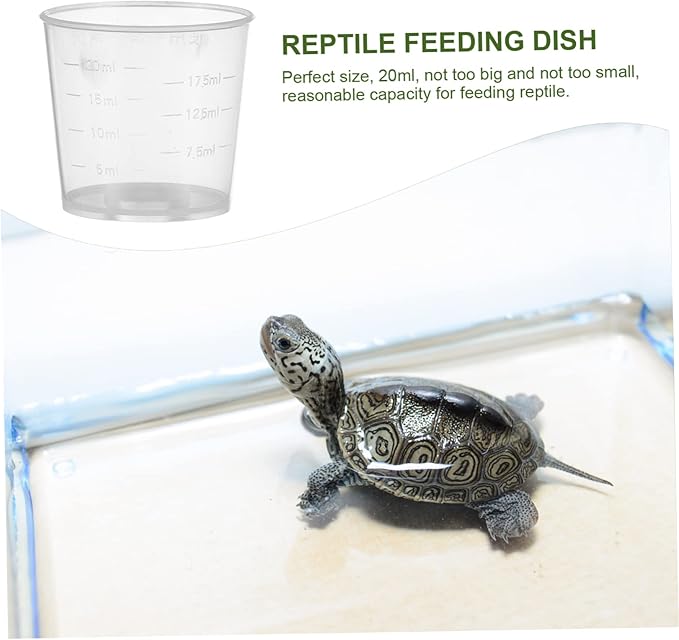 Kisangel 60pcs Reptile Feeding Bowls Portable Measuring Cups for Gecko Lizard and Reptiles for Food and Water Compact Design for Easy Daily Use