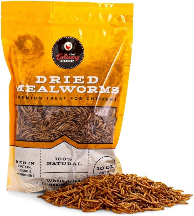 Fluker's Culinary Coop Premium Chicken Treats, Mealworms 10 oz, High Protein Worm, Nutritious Treat