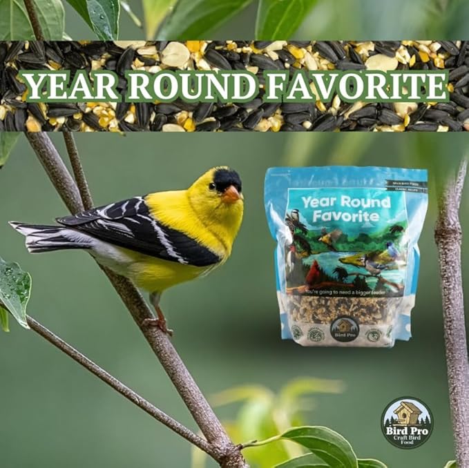 Classic Bird Seed (18 Pounds, Year Round Favorite)