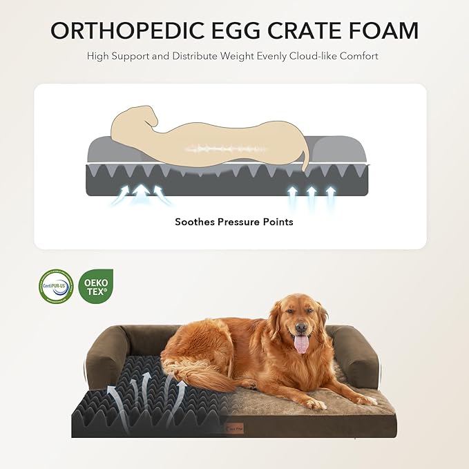 Orthopedic Dog Beds for Large Sized Dogs, Waterproof Egg Crate Foam Medium Dog Couch Beds for Crate 35x22Inch, Washable Pet Beds with Removable Cover and Nonskid Bottom, Brown