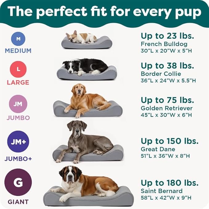 FurHaven Orthopedic Dog Bed for XX-Large Dogs, Luxe Lounger Contour Mattress with Medical-Grade Solid Orthopedic Foam for Joint Support, Removable Washable Cover - Jumbo Plus/XXL, Plush Suede, Cream