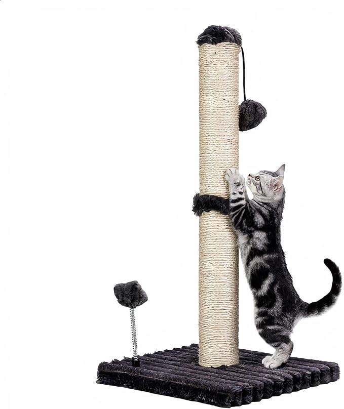 MECOOL Cat Scratching Post Premium Basics Kitten Scratcher Sisal Scratch Posts with Hanging Ball 22in for Kittens or Smaller Cats (22 inches for Kitten,Charcoal Gray) by MECOOL