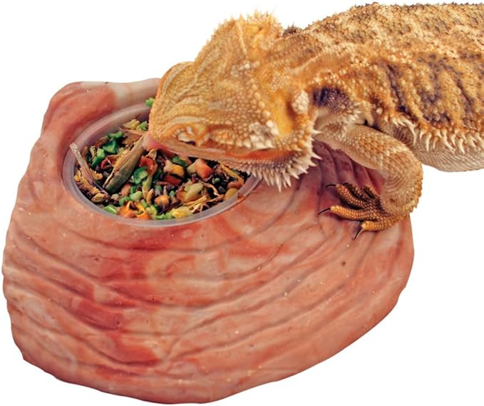 Healthy Herp Bearded Dragon Food Instant Meal for Reptiles - Nutritious Bearded Dragon Accessories, Bearded Dragon Food - Made in USA - for Box Turtles, Lizards, Tortoises - 7 x 0.2 oz (5.7g) Cups