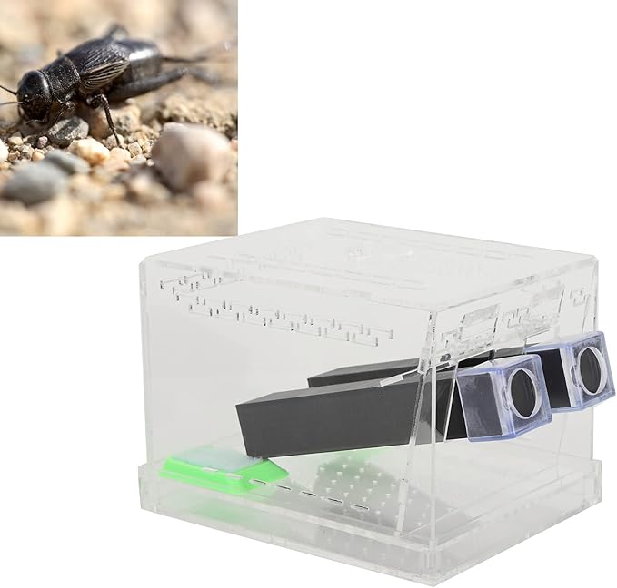 Acrylic Feeding Cricket Keeper Pen with Tubes Care Kit Tank Box for Reptile (Large 15x10x10cm/ 5.91x3.94in)