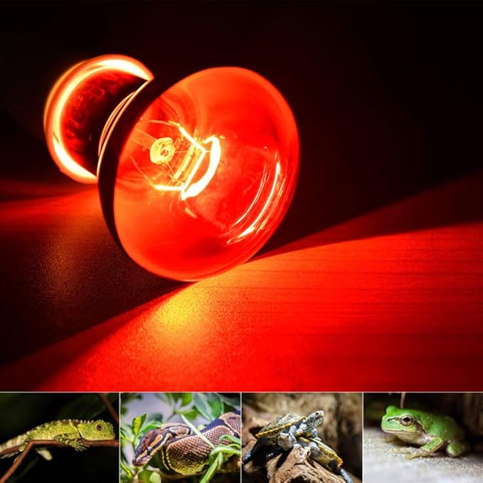 100W Infrared Heat Lamp Bulb E26 Base Red Basking Spot Light for Reptile Terrarium, Non-Disruptive Night Heater for Bearded Dragons Snake Turtle and Amphibian 2 Pack