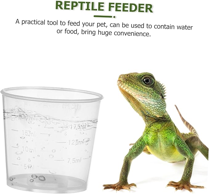 Kisangel 40pcs Reptile Food Measuring Cups Feeding Bowls for Lizards and Geckos Scales for Easy Measurement and Daily Convenience