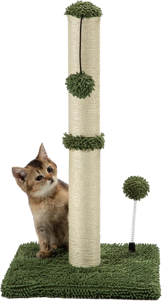 MECOOL Cat Scratching Post Premium Basics Kitten Scratcher Sisal Scratch Posts with Hanging Ball 22in for Kittens or Smaller Cats, Cactus Green by MECOOL
