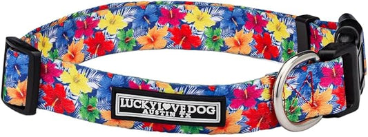 Lucky Love Dog - Easy Click Buckle Dog Collar with Leash Set Combo, Durable & Comfortable for Male & Female Dogs, Pet Collar for Small Dogs, Secure Fit - Hana Combo, Small
