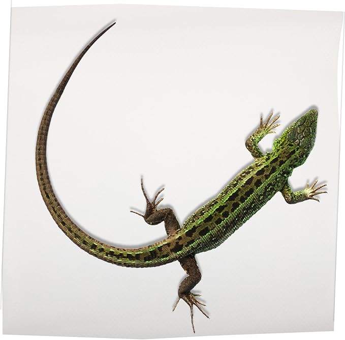 EVA Reptile Carpet Substrate Mat Non-Slip Soft Bedding for Snake Tank Accessories Terrarium Supplies for Leopard Gecko Lizard Tortoise