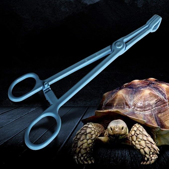 19cm/24cm Reptile Terrarium Plastic Tweezers Tongs Feeding Tool for Snakes Lizards Worm - 24cm 24cm