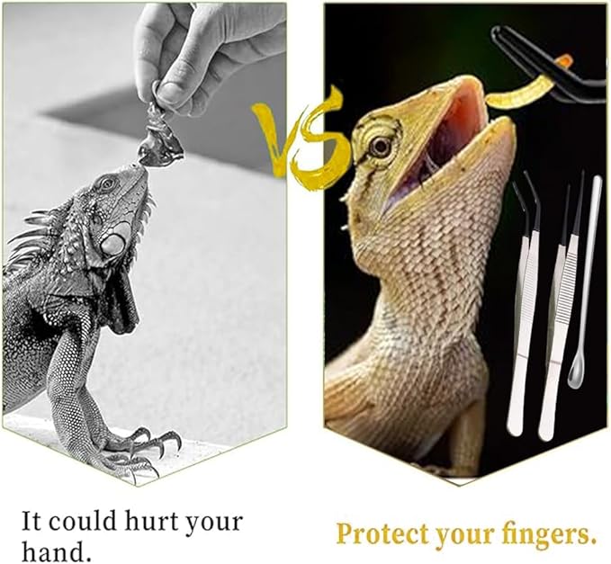 Ouliget Reptile Feeding Tool Set,Reptile Feeding Spoon,Rubber Tip Straight Curved Feeding Tongs Tweezers,Small Reptile Food Plastic Dish Bowl for Geckos Lizards Bearded Dragons