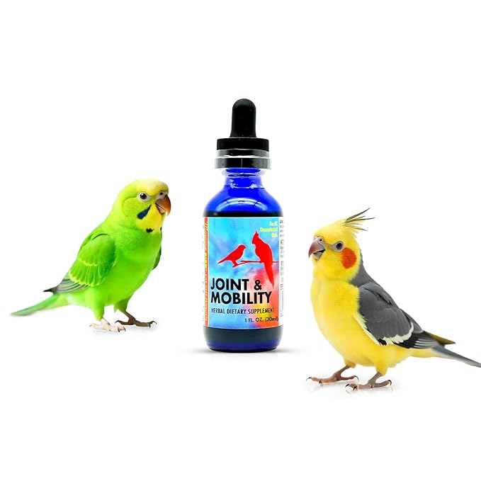 Morning Bird Joint & Mobility 1 fl oz – Herbal Liquid Supplement for Birds – Supports Joint Health, Muscle Comfort & Mobility – Ideal for Aging or Recovering Birds