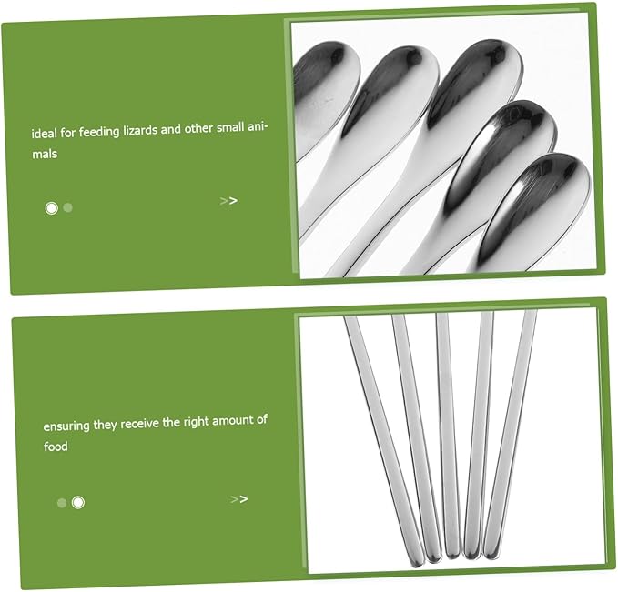 5pcs Portable Lizard Food Spoons Long Handle Feeding Tool for Small Animals Durable Material Effortless Control for Balanced Nutrition Reptile Tanks