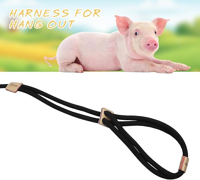 Pig Harness, Adjustable 8 Feet Leash for Small to Medium Pet Pigs