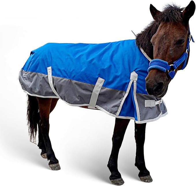 Winter Horse Blanket for Pony, Foal, Donkey, Mini Horses| Turnout Blanket for Winter | Waterproof | 1200 Denier | Blue Grey | 50 Inch